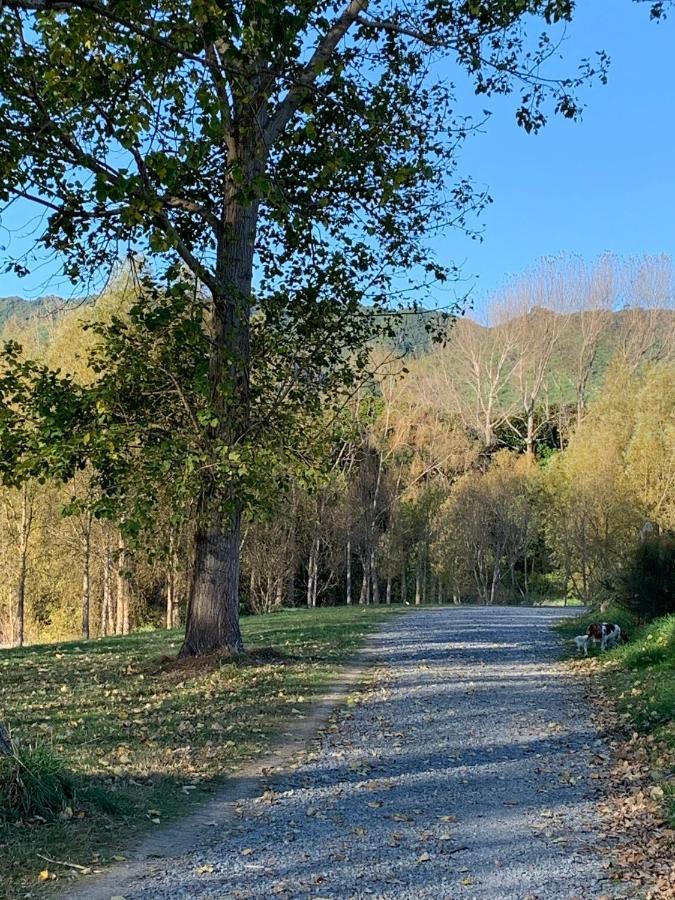 Aston Road Villa Bed & Breakfast Waikanae Εξωτερικό φωτογραφία